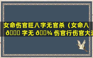 女命伤官旺八字无官杀（女命八 🐈 字无 🌾 伤官行伤官大运）